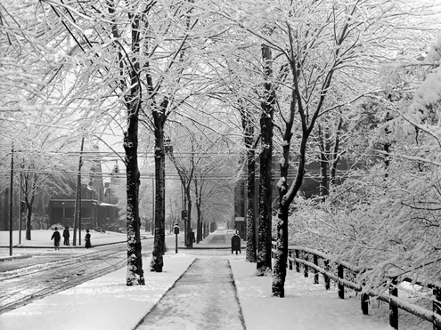 Зимний день 1910