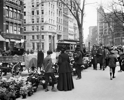 New York 1904