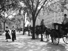 New York 1900