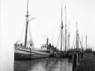 Пристань 1901